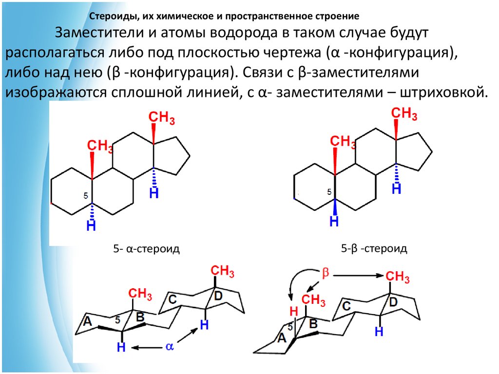 Презентация по химии стероиды