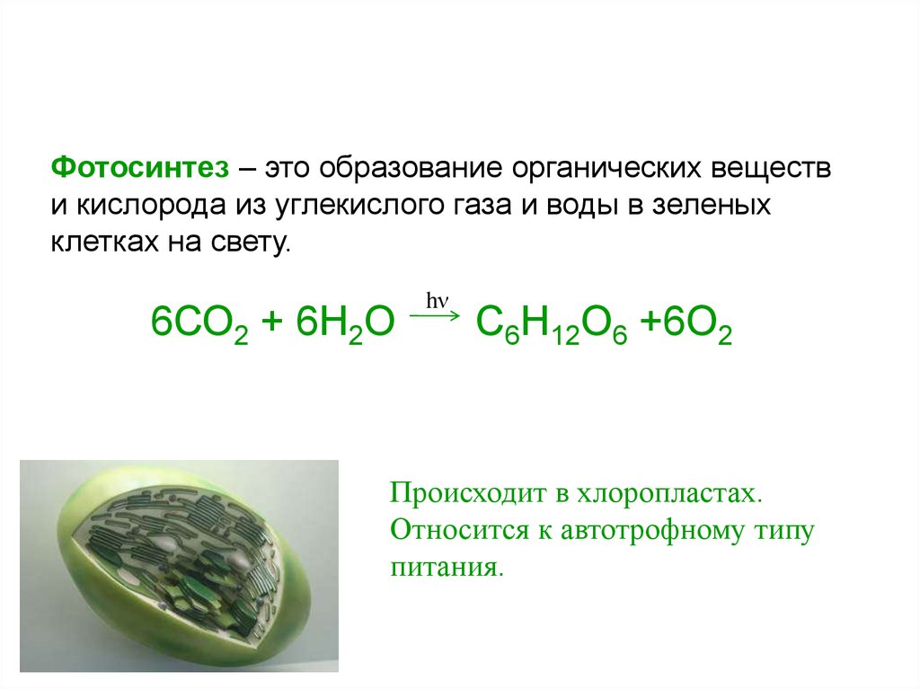 Углекислый газ органическое вещество. Продукты фотосинтеза. Образование органического вещества из углекислого газа и воды. Процесс образования органических веществ в хлоропластах на свету. Хлоропласты образование воды и углекислого газа.