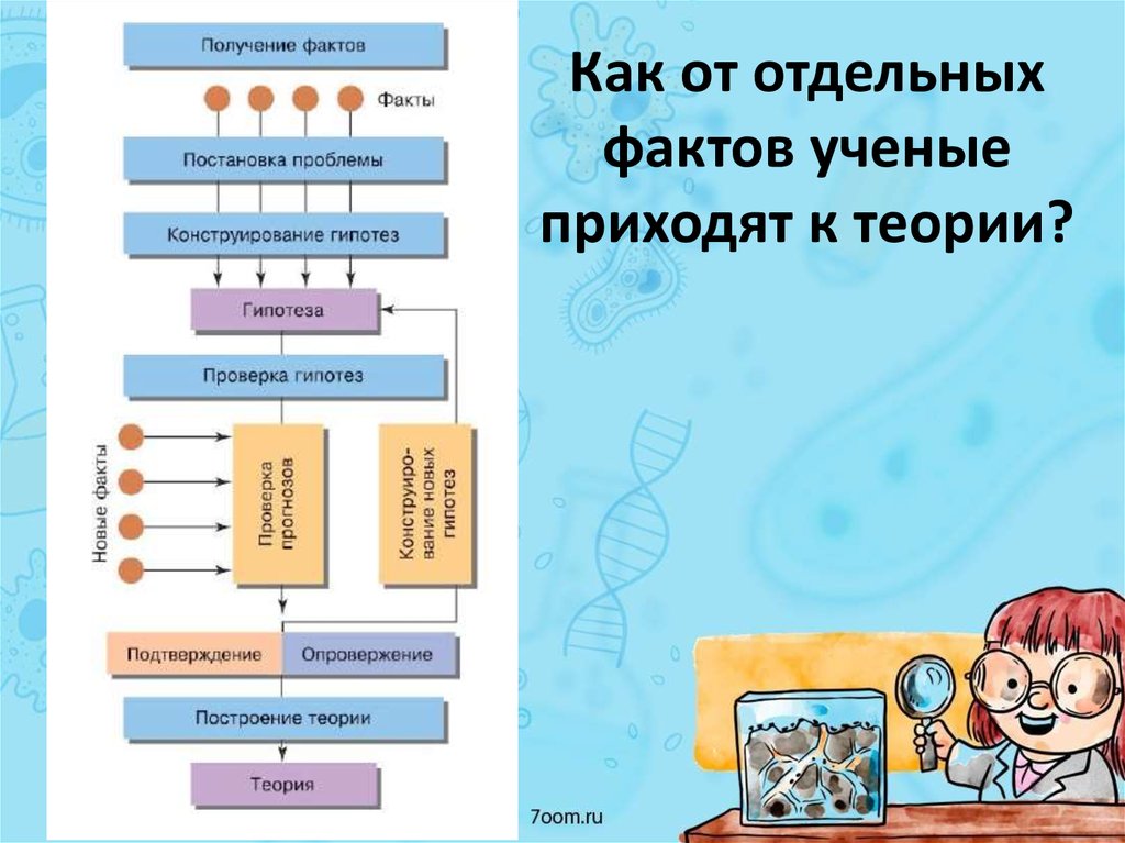 Отдельный факт