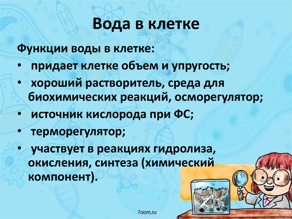 Водная клетка