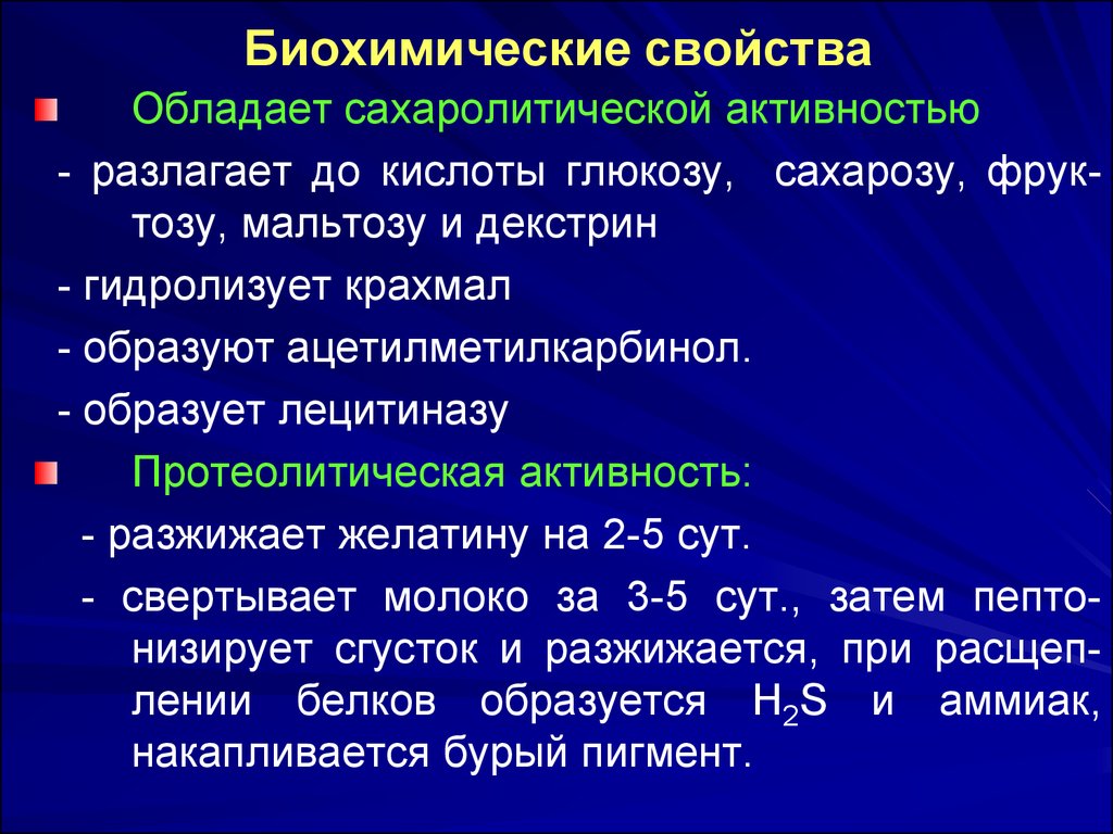 Сахаролитическая активность бактерий