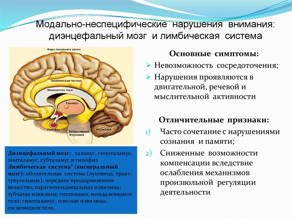 Нарушение работы головного мозга симптомы