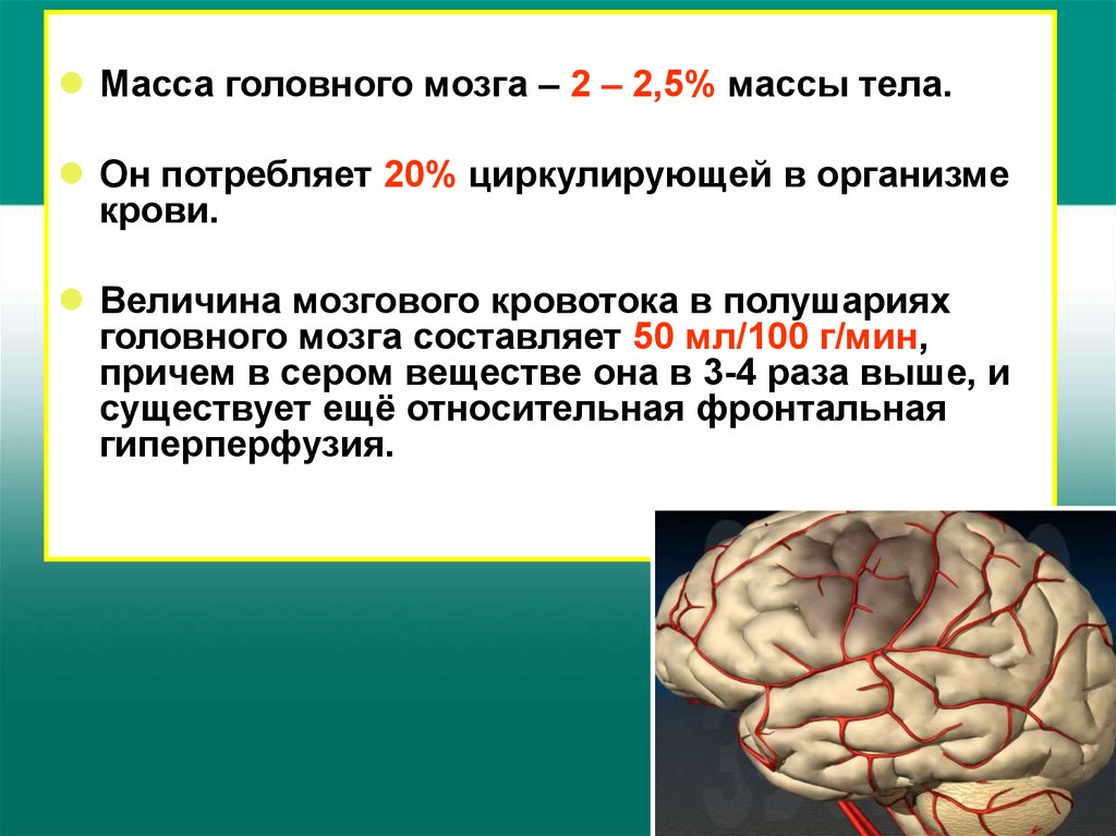 Ишемия головы. Хроническая ишемия головного мозга. Ишемическое заболевание мозга. Ишемические изменения головного мозга. Головной мозг при ишемии.