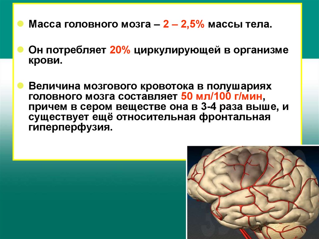 Хроническая ишемия головного мозга. Ишемическое поражение головного мозга. Хронические заболевания мозга. Ишемия лобных долей головного мозга.