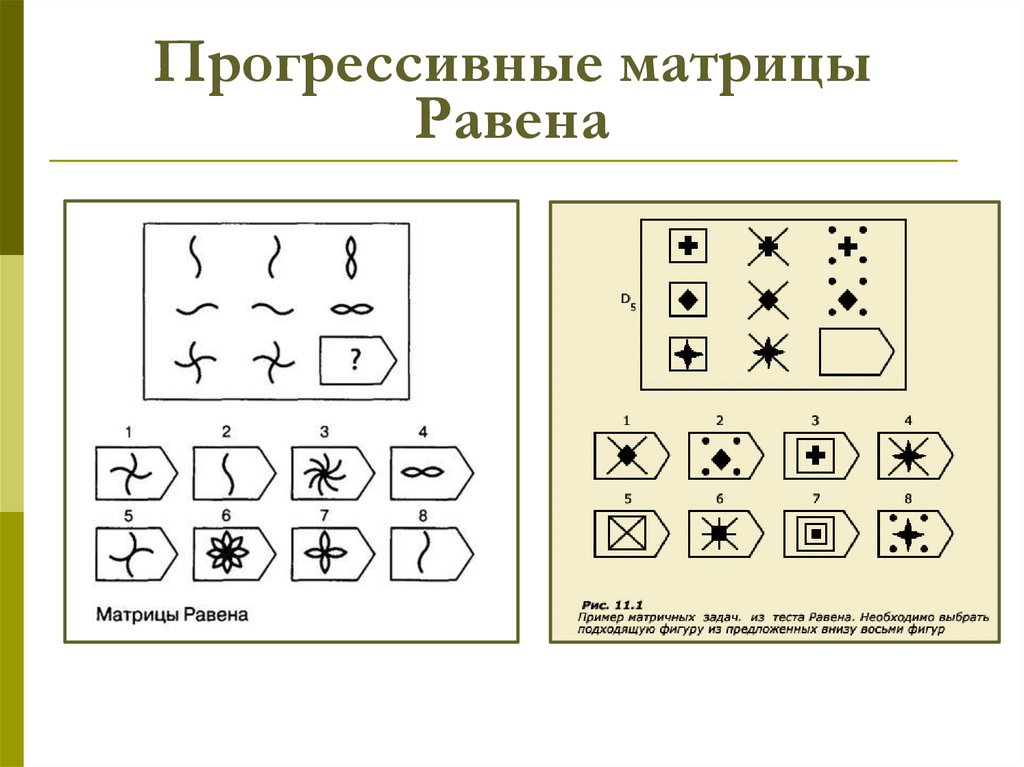 Пройти тест матрицы равена