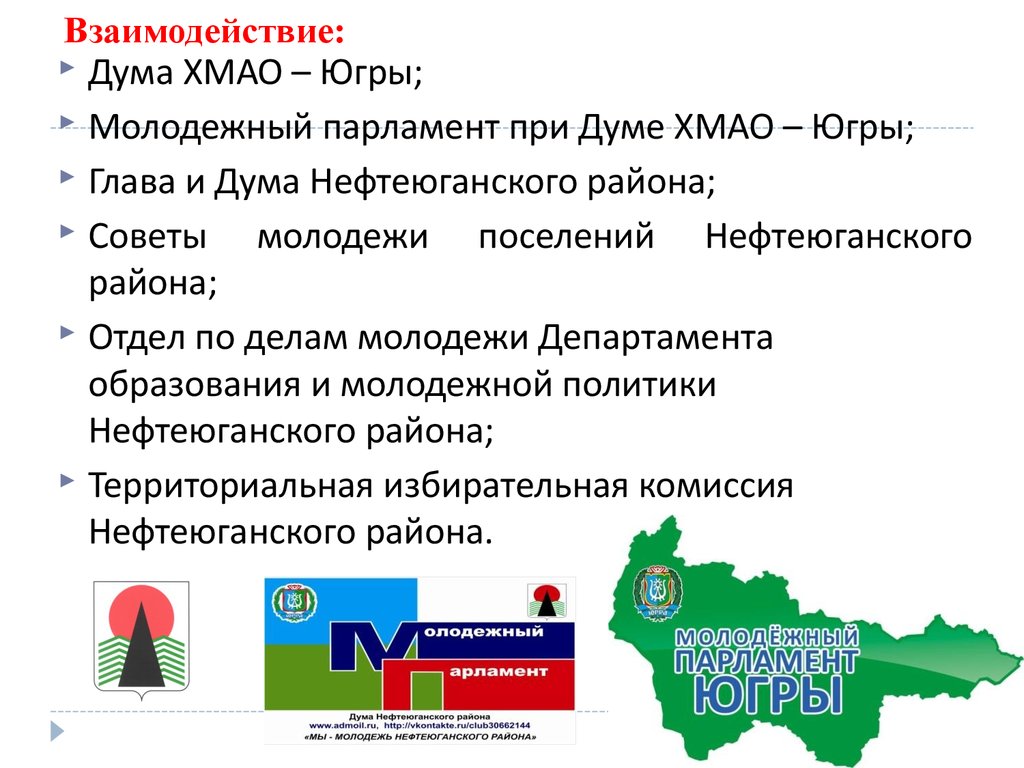 Проекты в молодежный парламент