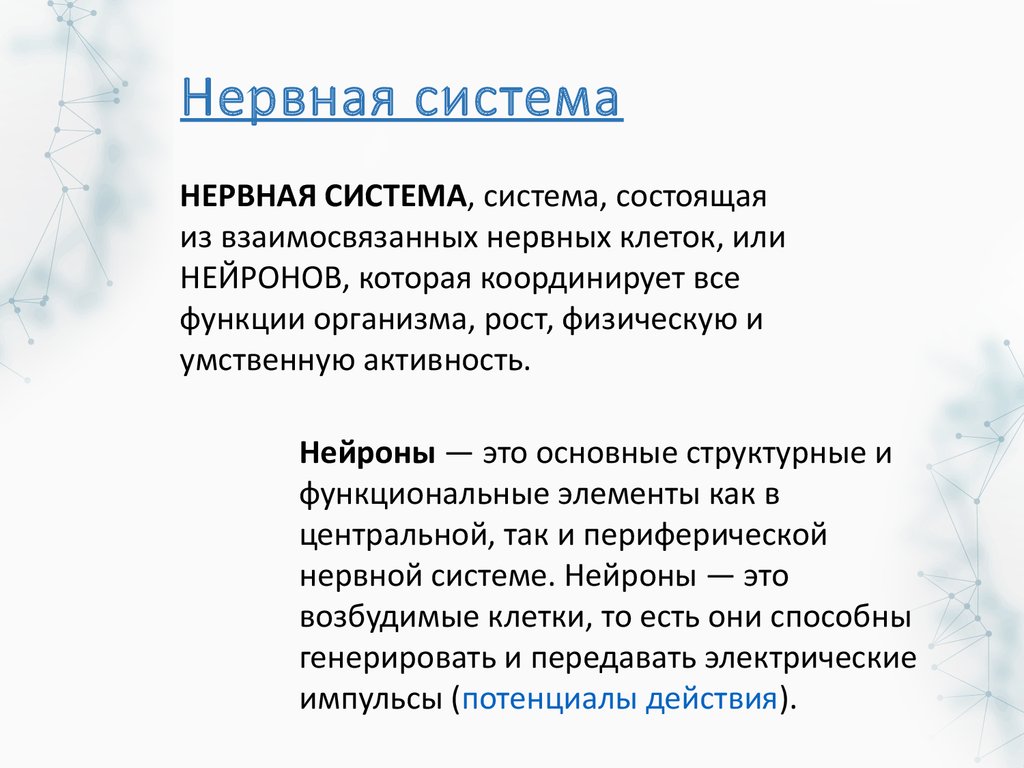 Нервная система