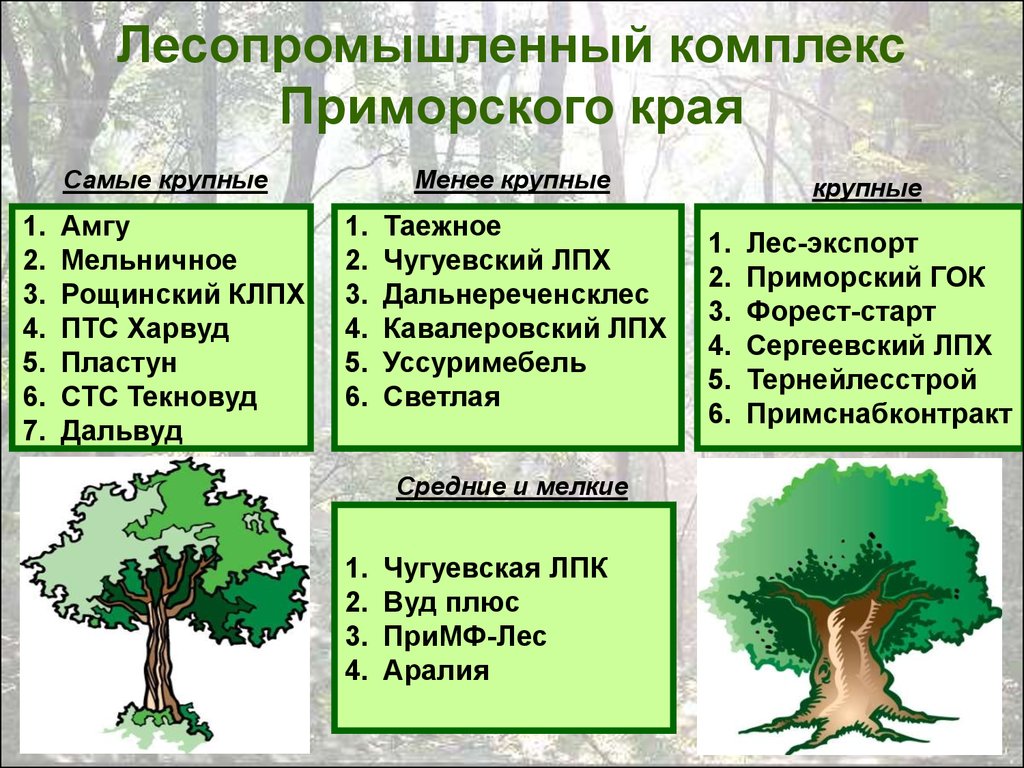 Отрасли лесной промышленности таблице