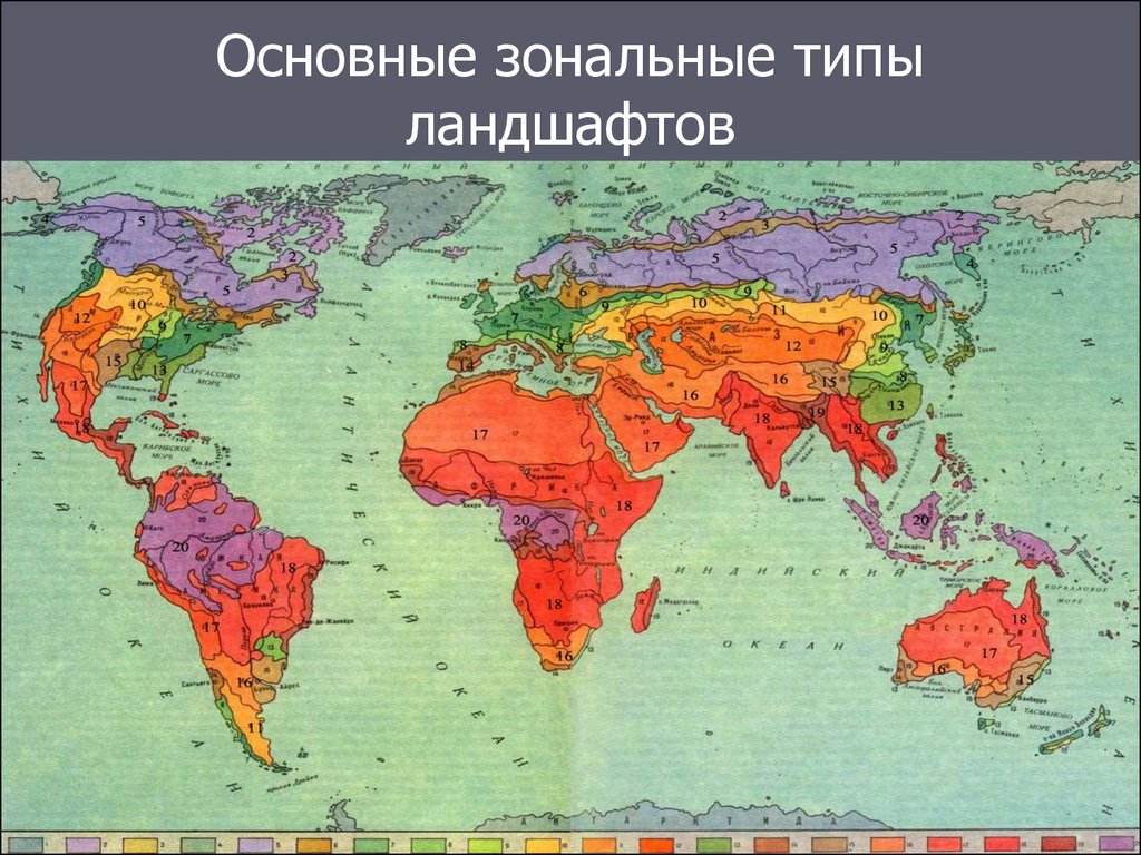 Важная карта. Зональные ландшафты. Типы ландшафтов земли. Карта зональных типов ландшафтов. Основные зональные типы ландшафтов.