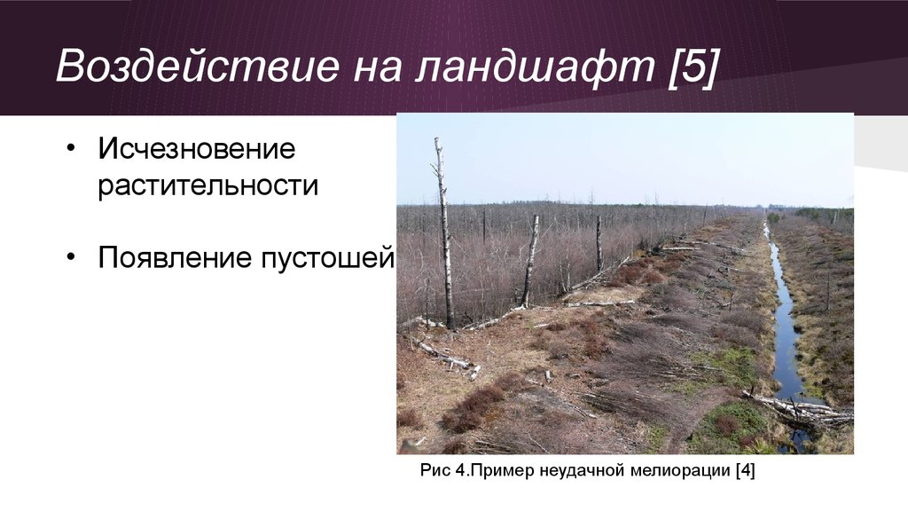 К чему приводит осушение болот. Воздействие на ландшафты. Последствия осушения болот. Последствия осушения почв. Мелиорация болот.