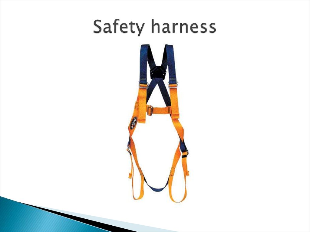 Safety harness