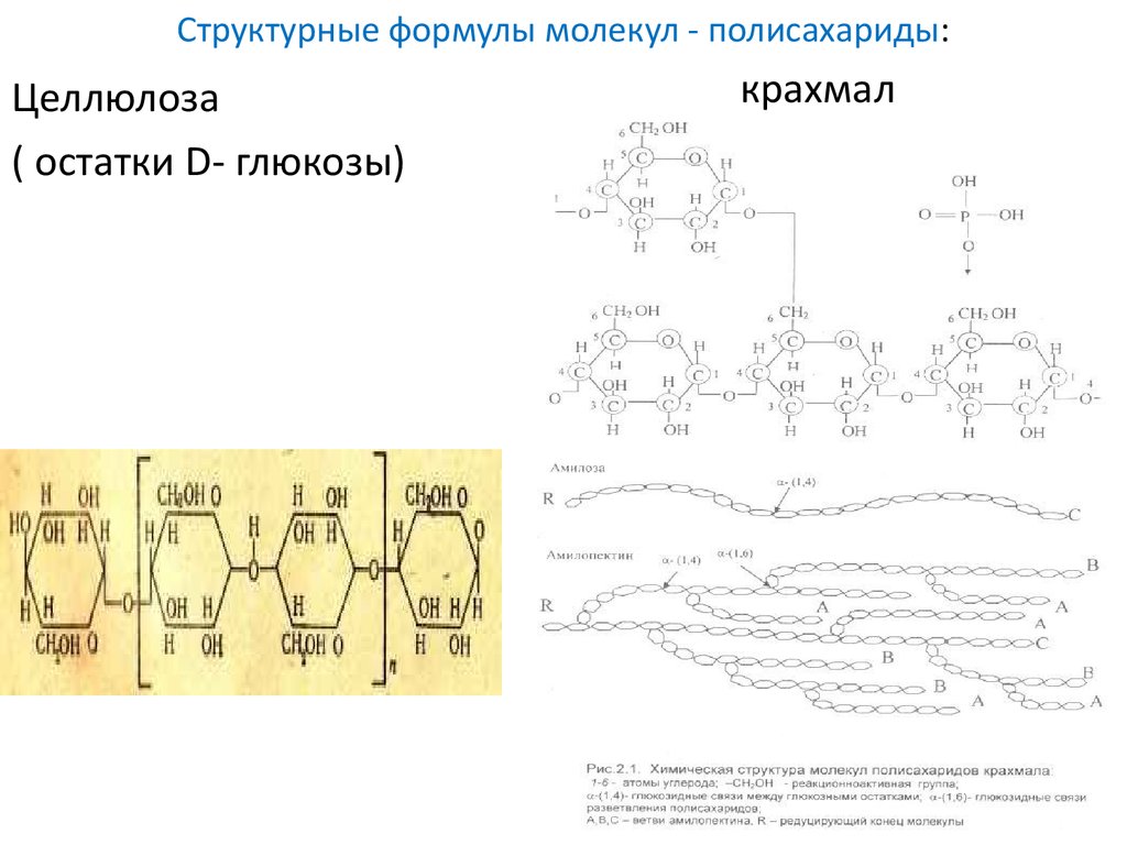 Формула Глюкозы крахмала и целлюлозы. Целлюлоза амилоза Целлюлоза Глюкоза. Полисахариды крахмал структурная формула. Полисахариды формула крахмала.