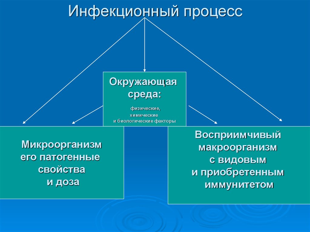 Процессы окружающей среды. Схема инфекционного процесса. Участники инфекционного процесса. Составляющие инфекционного процесса. Инфекционный процесс звенья инфекционного процесса.