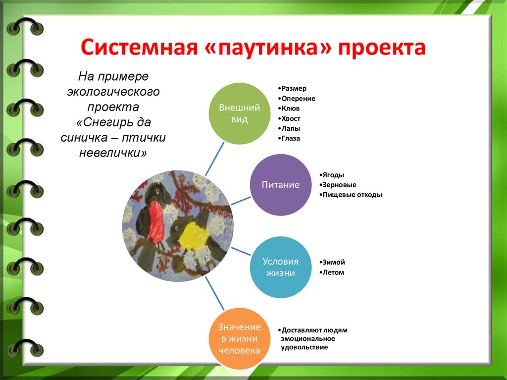 3 примера проекта. Системная паутинка проекта. Системная паутинка проекта в ДОУ. Составление паутинки проекта в ДОУ. Системная паутинка по проекту в ДОУ.