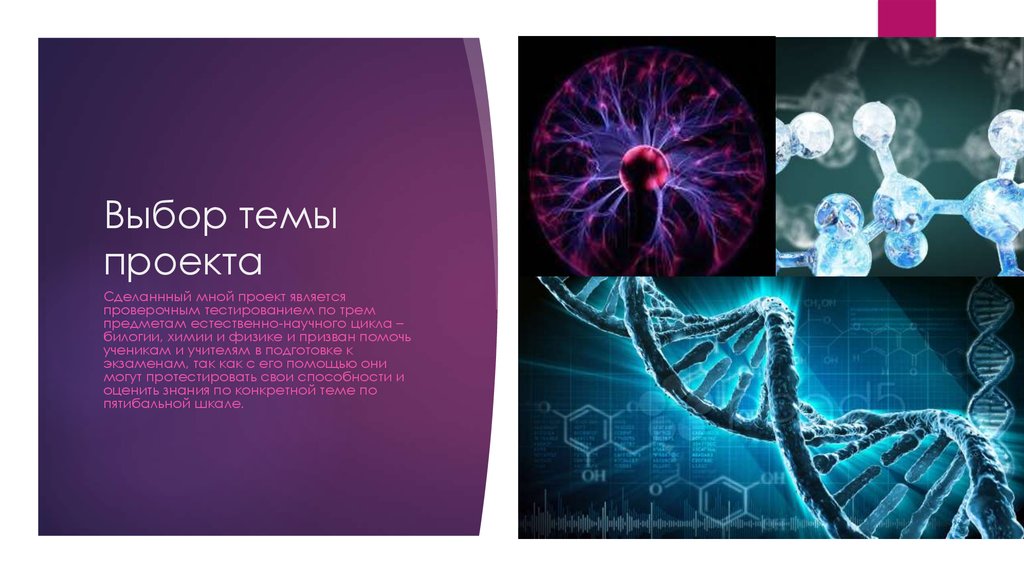 Выбор темы проекта