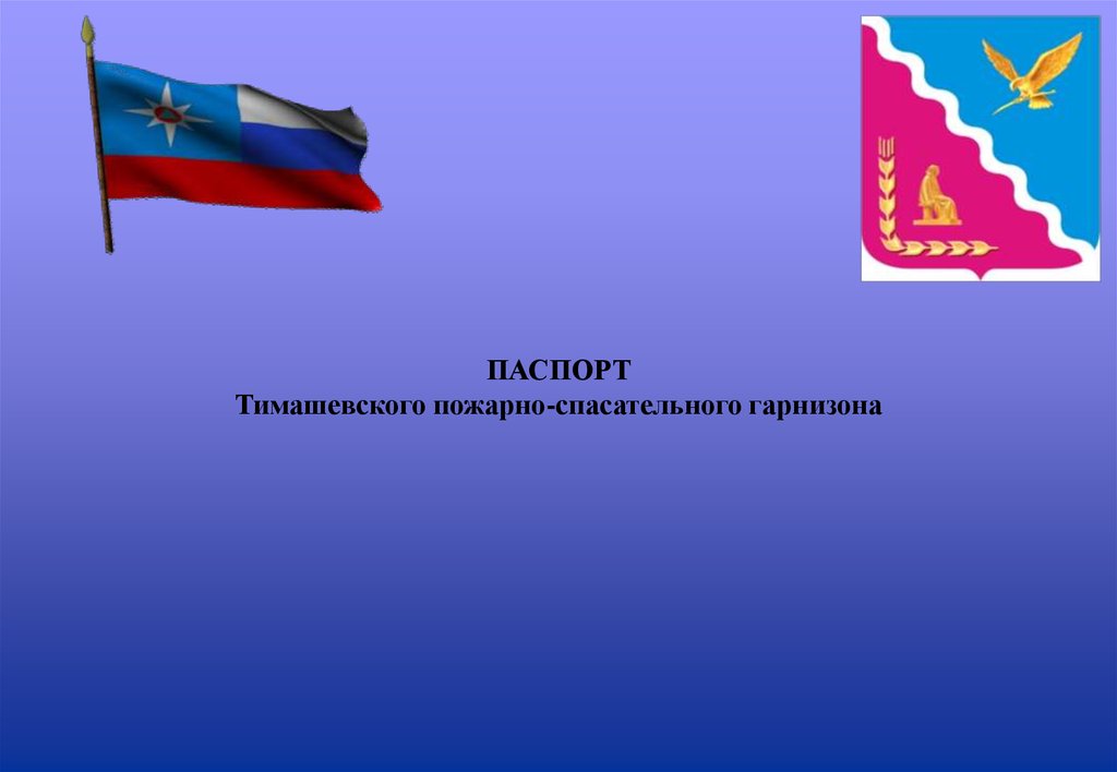 Положение о пожарно спасательном гарнизоне утверждено