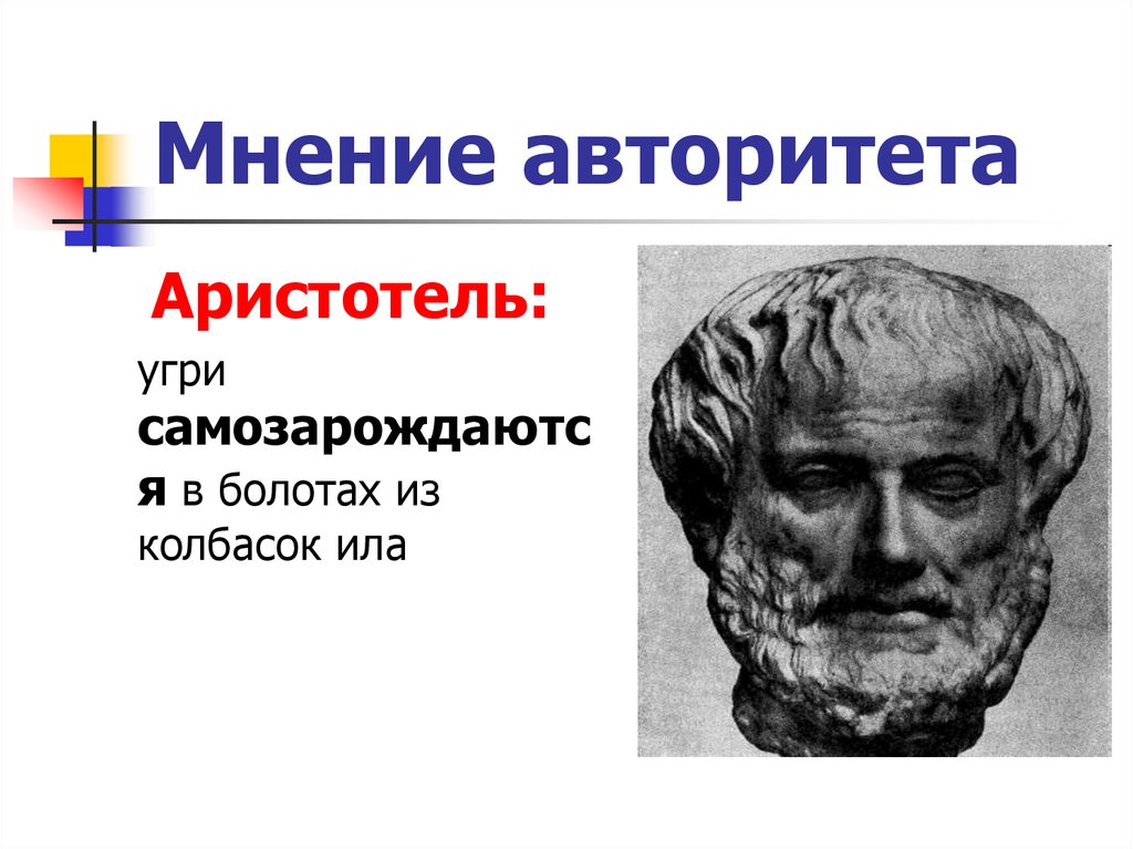 Мнение авторитета. Аристотель и угри. Аристотель изучал угрей. Большой авторитет Аристотеля. Большой авторитет Аристотеля Возрождение.