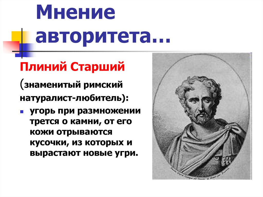 Мнение авторитета. Плиний Римский натуралист. Плиний старший эволюционное учение.