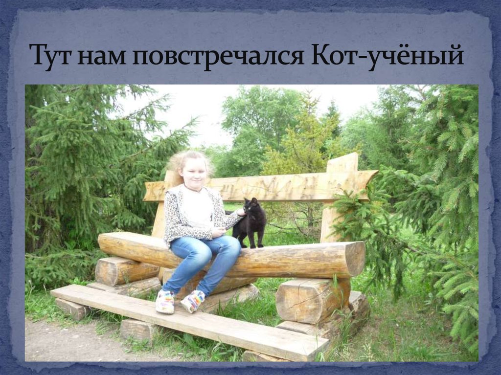 Тут нам повстречался Кот-учёный