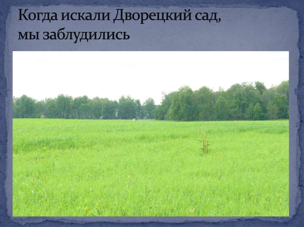 Когда искали Дворецкий сад, мы заблудились