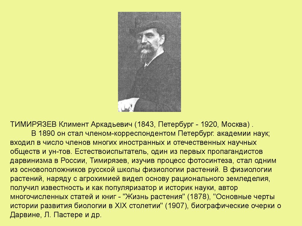 Тимирязев биография. . Тимирязев Климент Аркадьевич (1843—1920)достижения. Климемнт аркамдьевич тимирямзев (1843 --1920). Тимирязев Климент Аркадьевич доклад. Тимирязев Климент Аркадьевич вклад в науку.