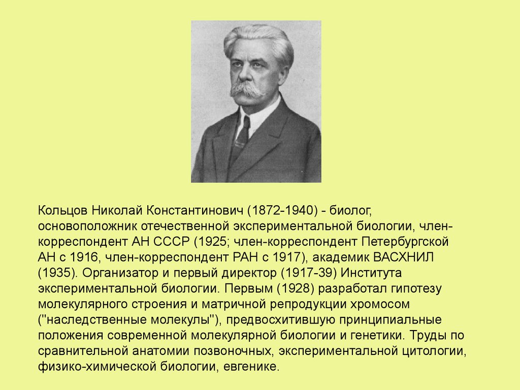 Основоположник отечественной. Кольцов Николай Константинович (1872-1940). Кольцов генетик. Кольцов Николай Константинович биолог. Н.К.Кольцова вклад в генетику.