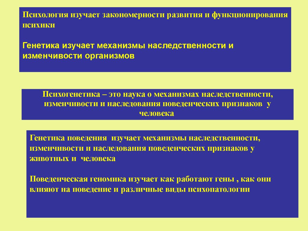 Изучение механизма наследственности. Психология изучает закономерности. Психогенетика изучает закономерности:. Механизмы наследственности и изменчивости.