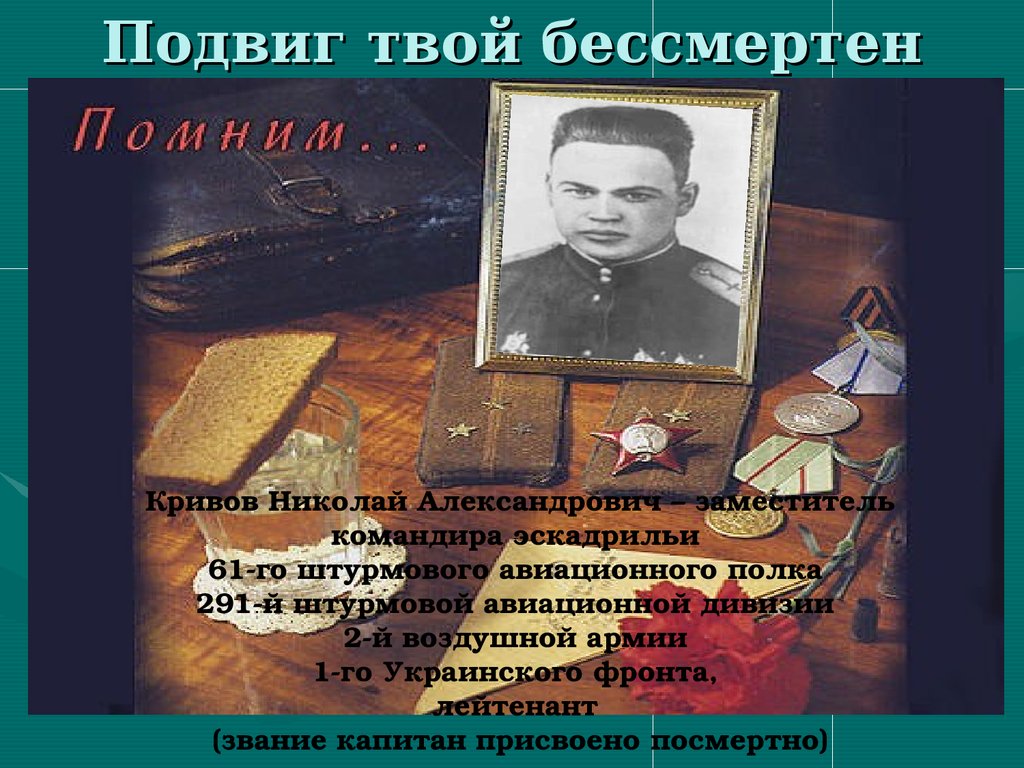 Твой бессмертный. Кривов Николай Александрович герой советского Союза. Николай Кривов летчик. Герои подвиги ваши бессмертны. Кривов Николай Александрович подвиги.