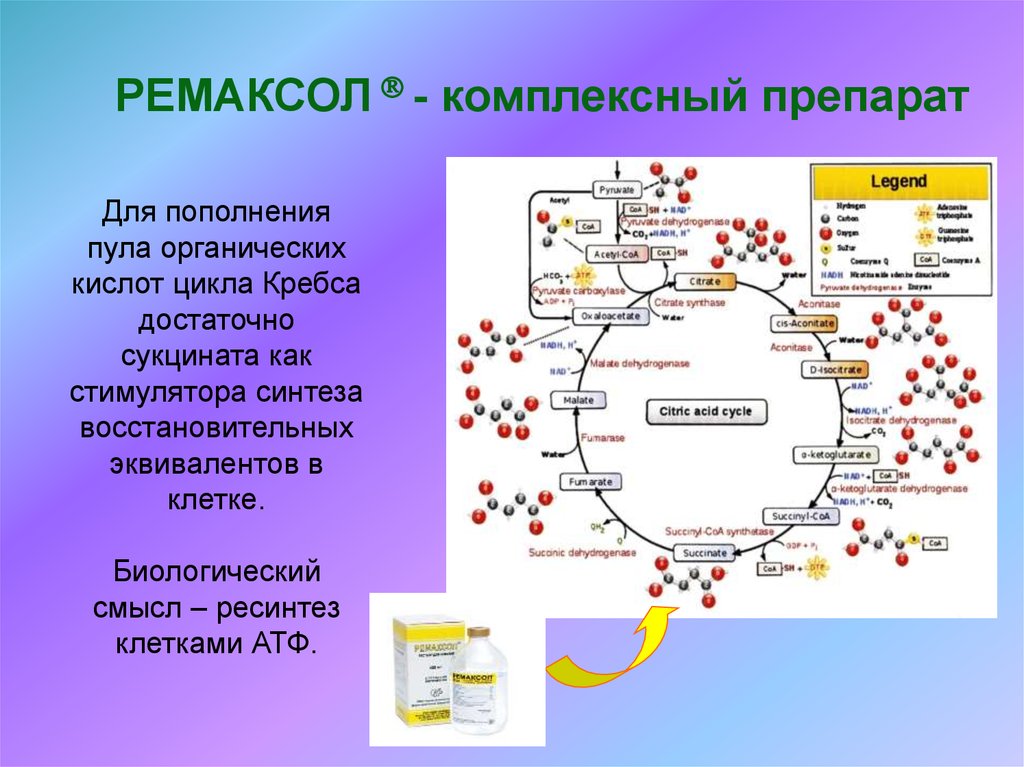 Ремаксол. Препарат ремаксол. Биологический смысл цикла Кребса. Цикл Кребса и витамины группы в.