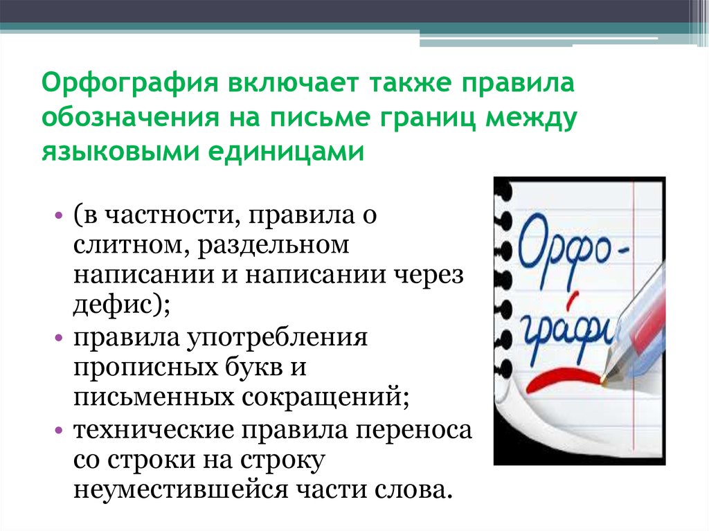 Включи орфографический