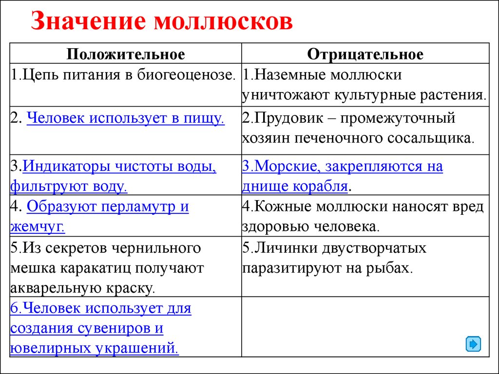 Функции ракообразных. Значение моллюсков. Значение моллюсков в природе. Тип моллюски значение. Значение классов моллюсков.