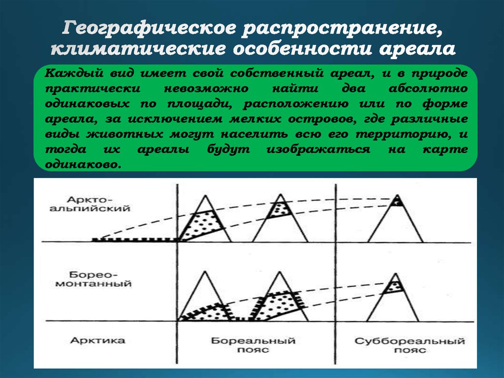 Формы ареалов