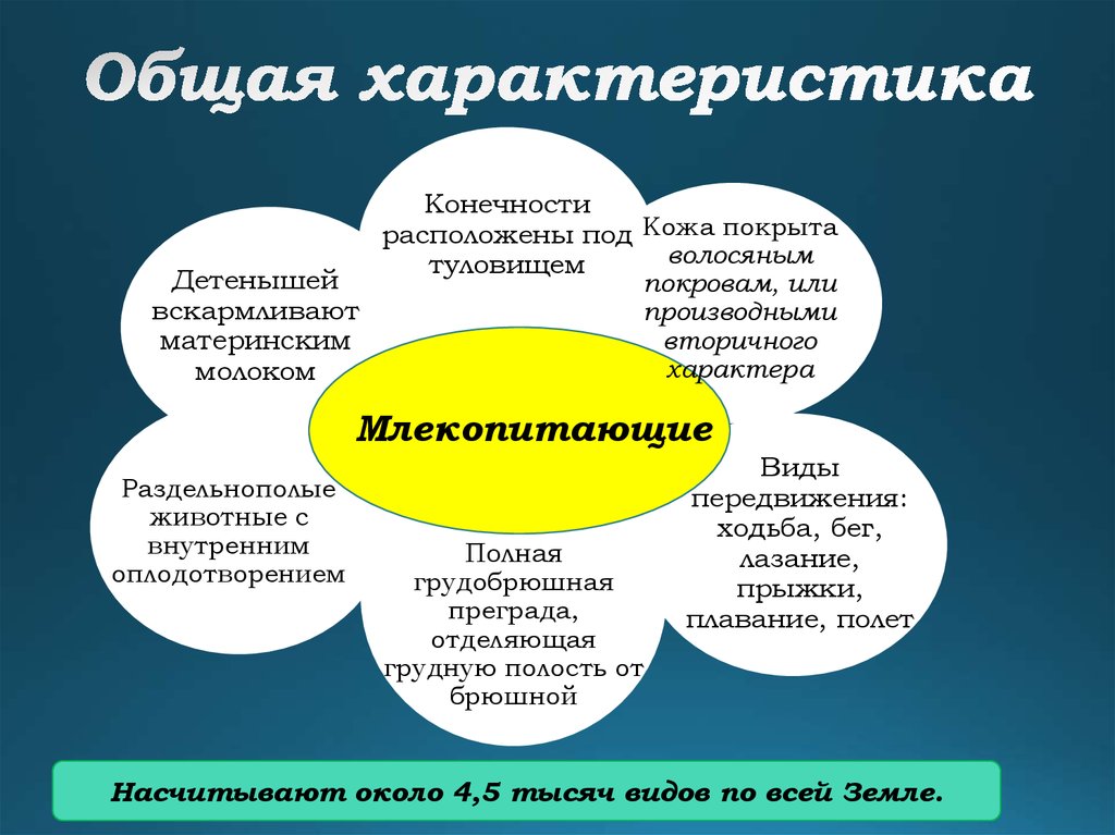 Вторичный характер. Характер общая характеристика. Общая характеристика. Общая характеристика поп. Общая характеристика форума.