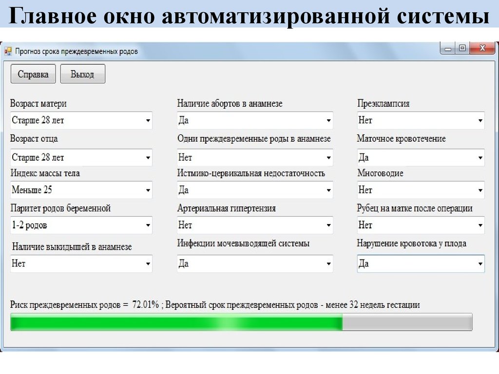 Паритет родов. Прототип основного окна информационной системы пример. Прототип системы.