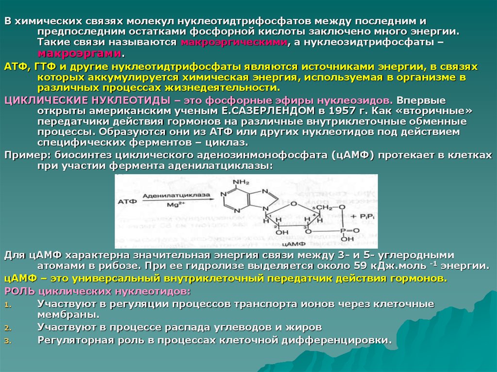 Атф какие связи. Особенности синтеза нуклеотидтрифосфатов. АТФ фосфорная кислота. Функции ГТФ биохимия. Нуклеиновые кислоты биохимия.