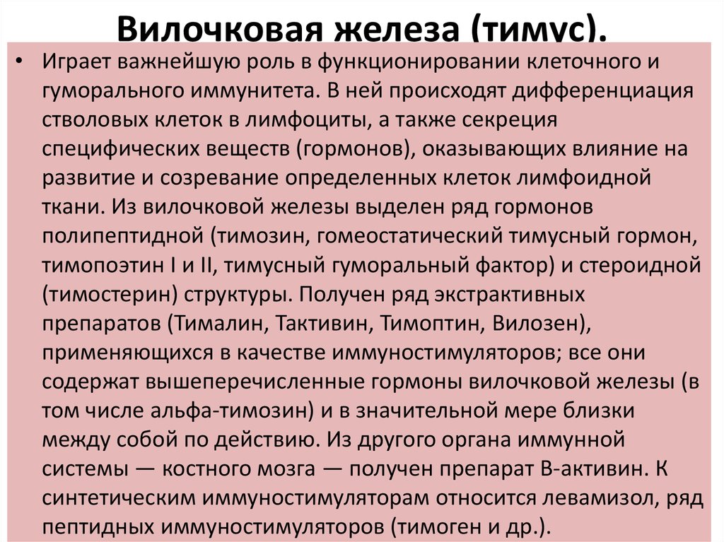 Вилочковая железа функции. Тимус вилочковая железа функции. Роль вилочковой железы. Гормональная функция вилочковой железы.