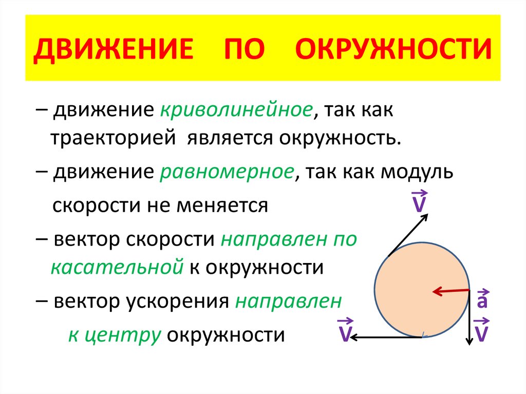 Динамика движения по окружности презентация