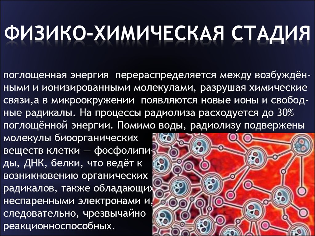 Этапы химической. Физико-химические. Физико химическая стадия. Физико-химический этап. Разрушение молекулярных связей.