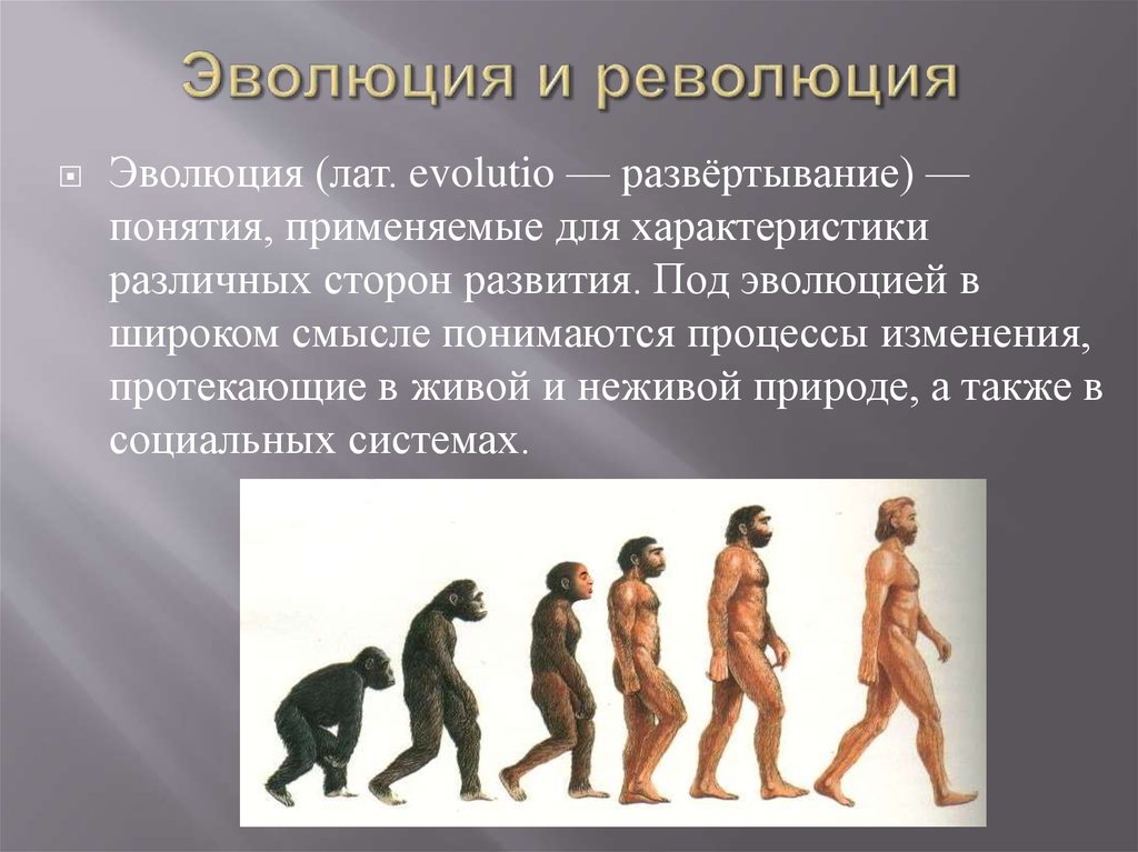 Эволюция становления общества. Эволюция. Эволюционное развитие. Возникновение эволюции. Эволюционные изменения.