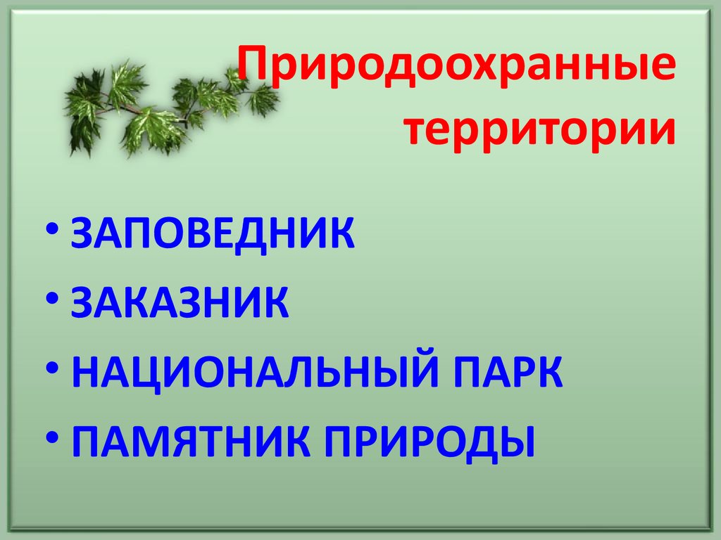 Презентация охрана природы краснодарского края