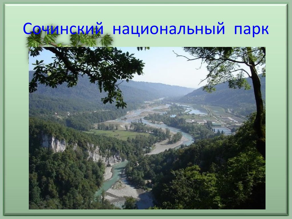 Охрана природы парки. Сочинский национальный парк охрана природы. Национальный парк Сочинский проект 4 класс. Путешествие в Сочинский национальный парк 4 класс. Национальный парк Сочинский охрана природы Черноморского побережья.