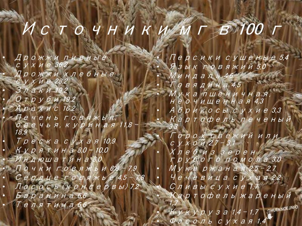 Источники мг в 100 г