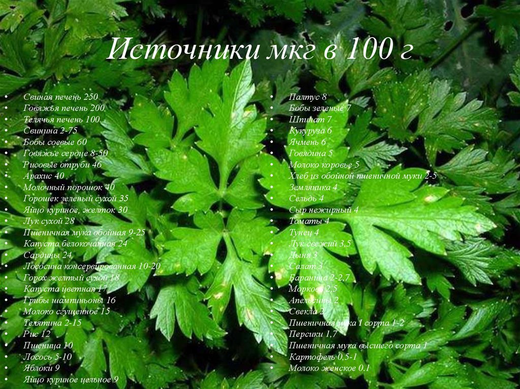 Источники мкг в 100 г