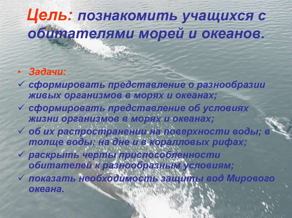 Презентация на тему жизнь в морях и в океанах 5 класс