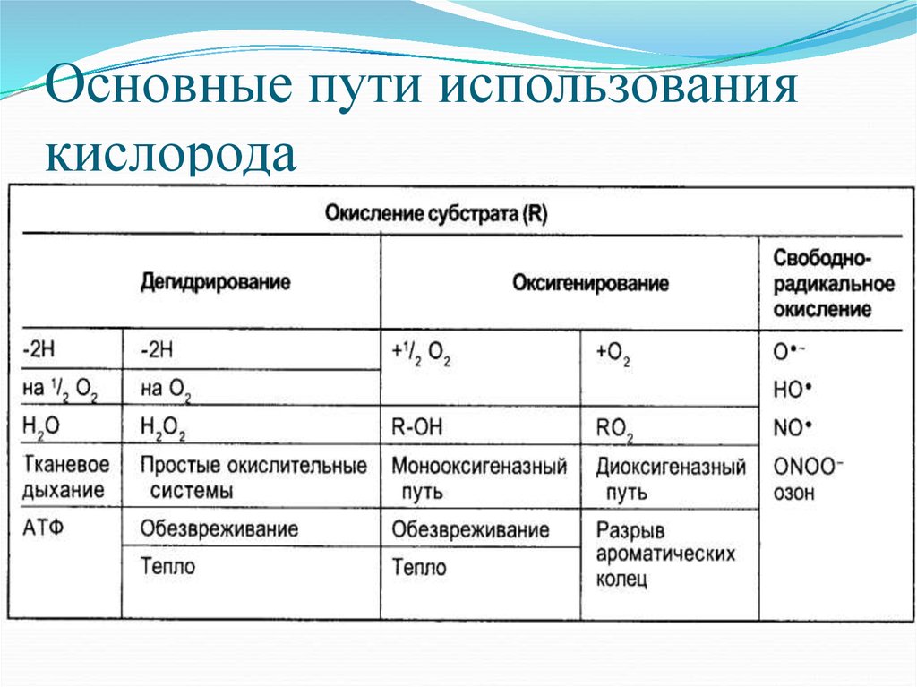 Кислород окисление 1. Пути использования кислорода. Пути использования кислорода биохимия. Пути использования кислорода в клетке. Пути биологического окисления.