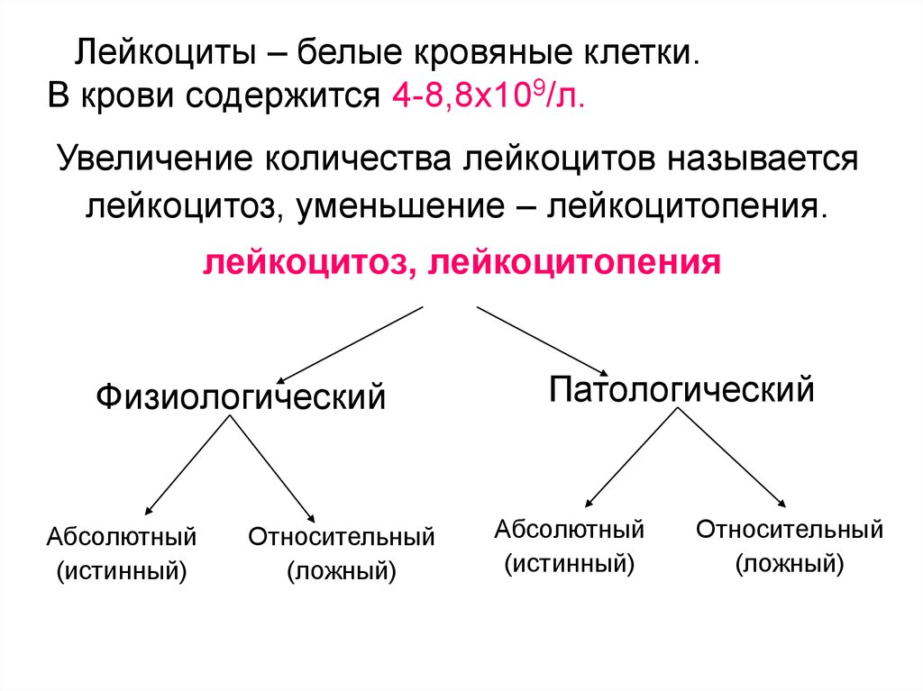 Увеличение называть. Абсолютный и относительный лейкоцитоз. Относительный и истинный лейкоцитоз. Истинный и ложный лейкоцитоз. Увеличение количества лейкоцитов называется.