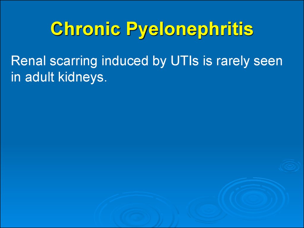 Chronic Pyelonephritis