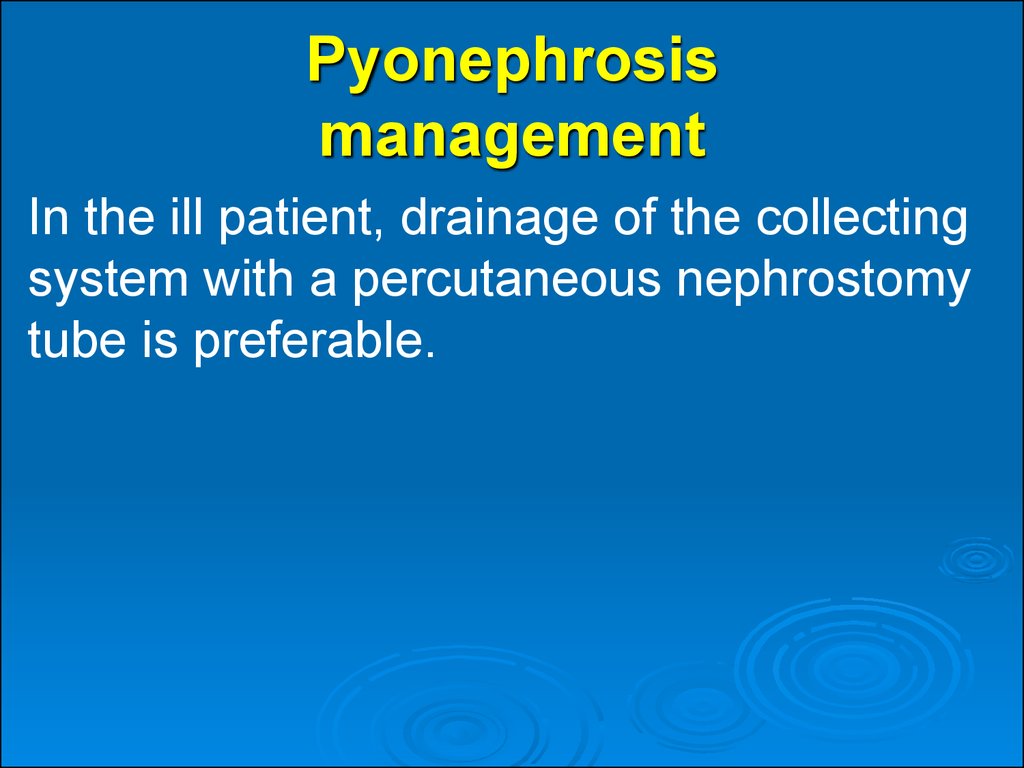 Pyonephrosis management