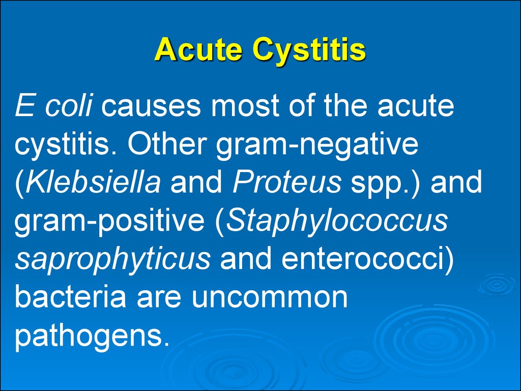 Acute Cystitis