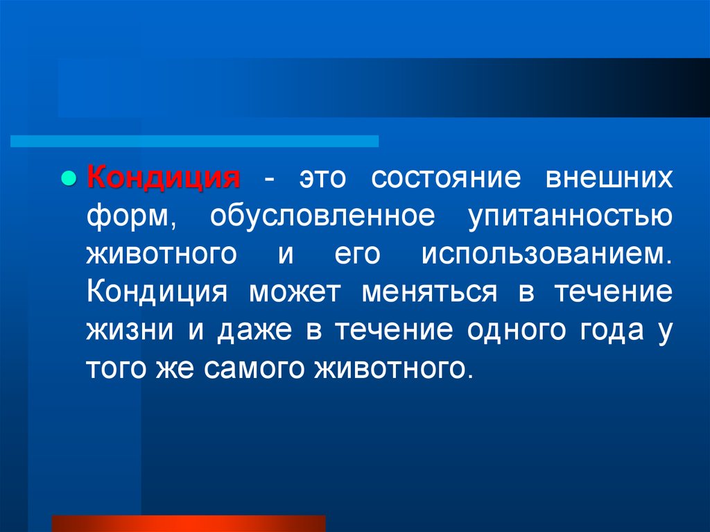 Кондиции это. Кондиция это состояние. Кондиция это состояние человека. Кондиция это простыми словами.